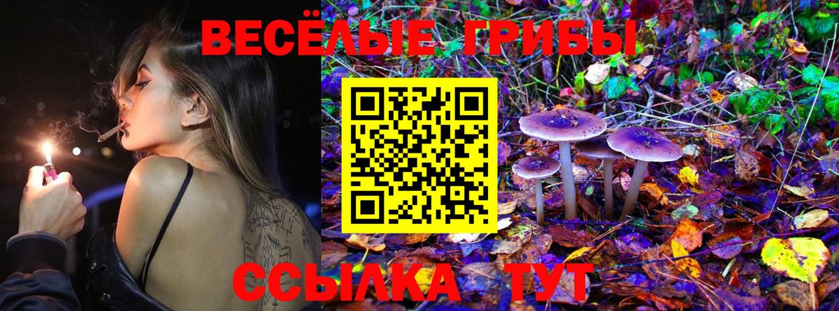 Октябрьский  Галлюциногенные грибы прущие грибы  Вход с VPN 